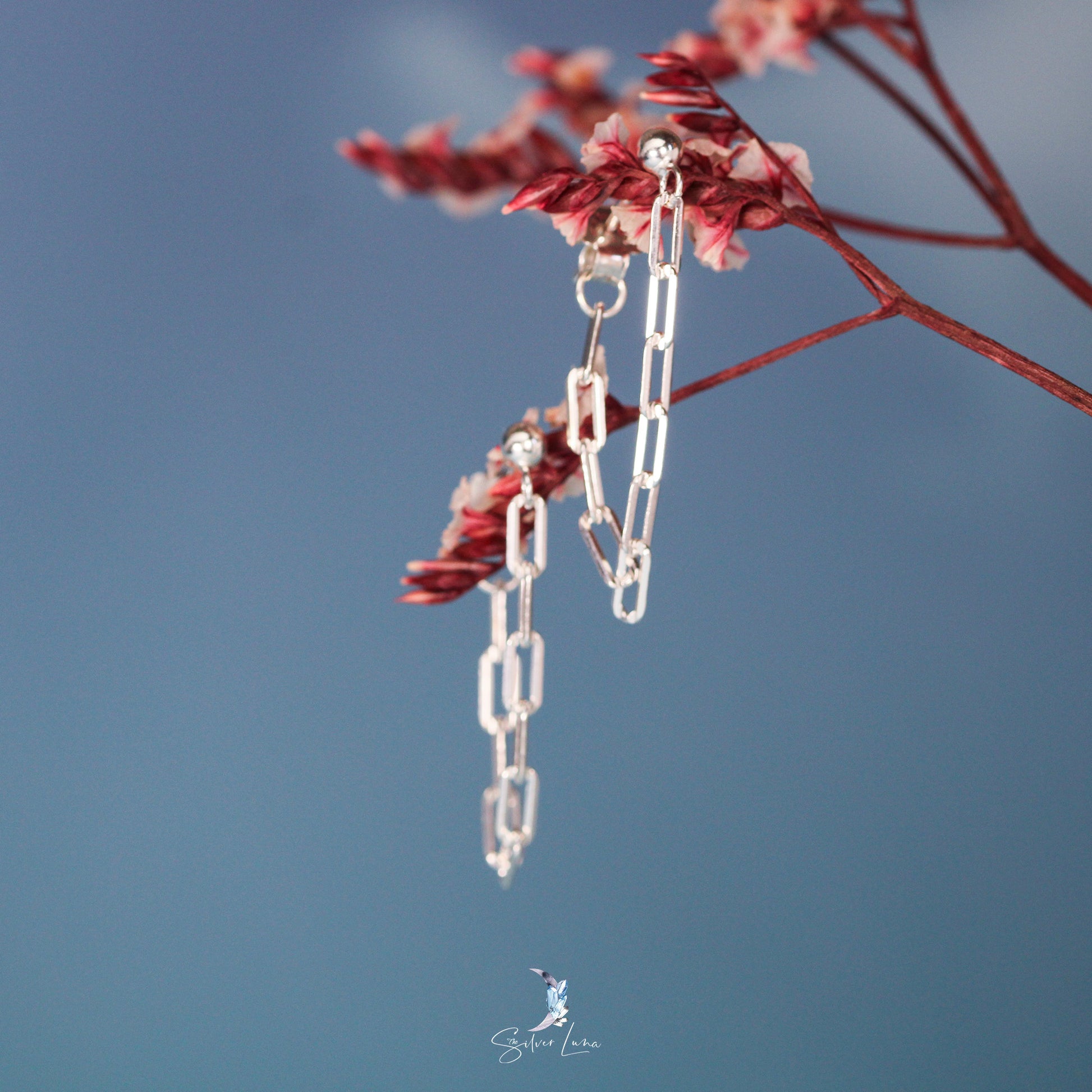 link chain silver earrings