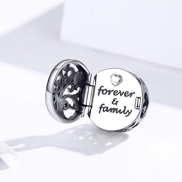 family locket charm for bracelet